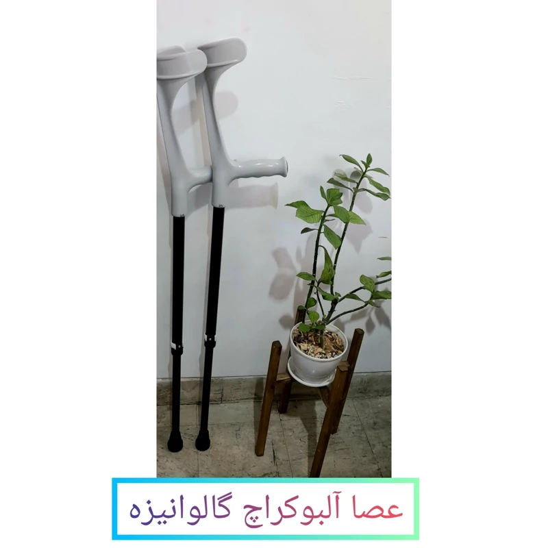 عصا آرنجی(آلبوکراچ) گالوانیزه